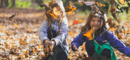 children playing in leaves
